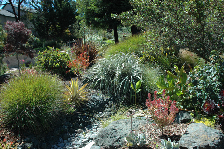 Cambria and Cayucos 019.jpg